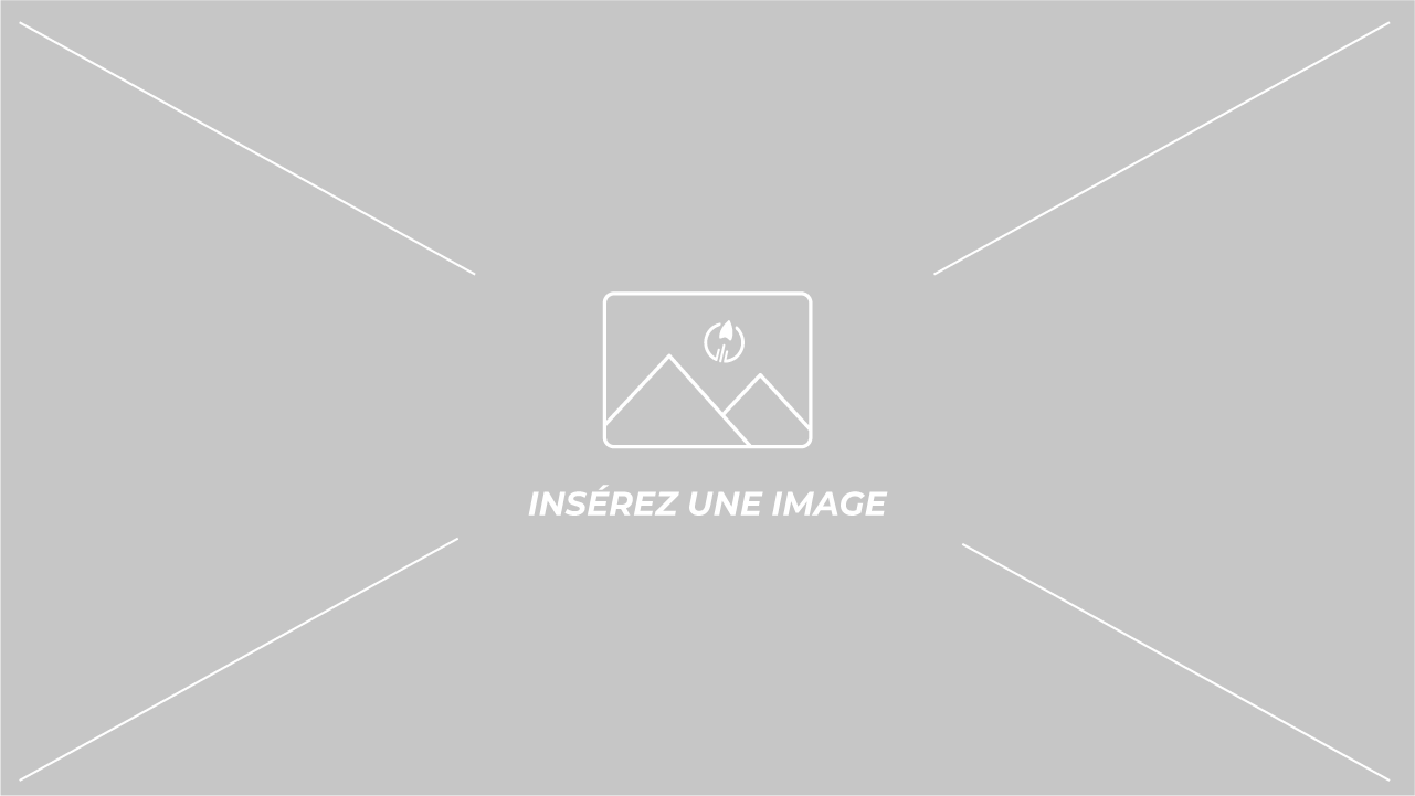 Droit des sociétés